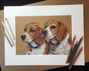 Double pet portrait, two dogs together from separate photos.