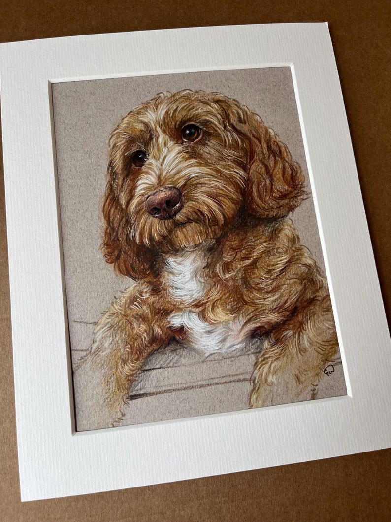 Puede incluir: Dibujo a l&aacute;piz de color de un perro Labradoodle, enmarcado en un passe-partout blanco. El perro tiene pelaje marr&oacute;n y blanco, una nariz rosada y ojos marrones expresivos. La obra captura la expresi&oacute;n suave del perro.