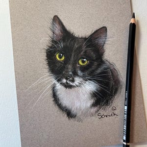 Custom Cat Portrait, Cat Painting From Photos