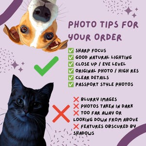 Puede incluir: Imagen promocional con un perro y un gato, junto con el texto "PHOTO TIPS FOR YOUR ORDER". La imagen proporciona consejos para tomar buenas fotos, incluyendo enfoque n&iacute;tido y buena iluminaci&oacute;n, y enumera qu&eacute; evitar, como im&aacute;genes borrosas.