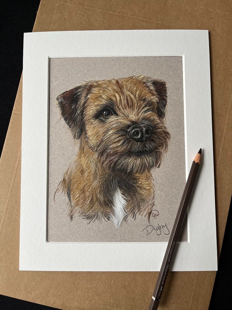 Puede incluir: Retrato a l&aacute;piz de color de un perro Border Terrier, enmarcado en blanco y montado sobre un fondo neutro. El perro tiene pelaje marr&oacute;n y canela, una nariz negra y una mancha blanca en el pecho. Un l&aacute;piz marr&oacute;n descansa sobre el marco.