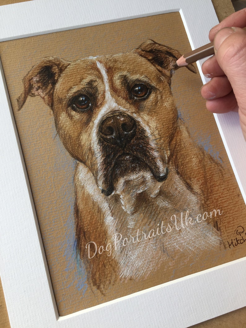 Pet portrait custom dog art