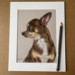 Puede incluir: Retrato a l&aacute;piz de color de un perro chihuahua en un marco blanco. El perro tiene pelaje marr&oacute;n y canela, con el pecho blanco. Un l&aacute;piz negro descansa en el lado derecho del marco. La firma del artista, "Maisie", est&aacute; en la esquina inferior izquierda.