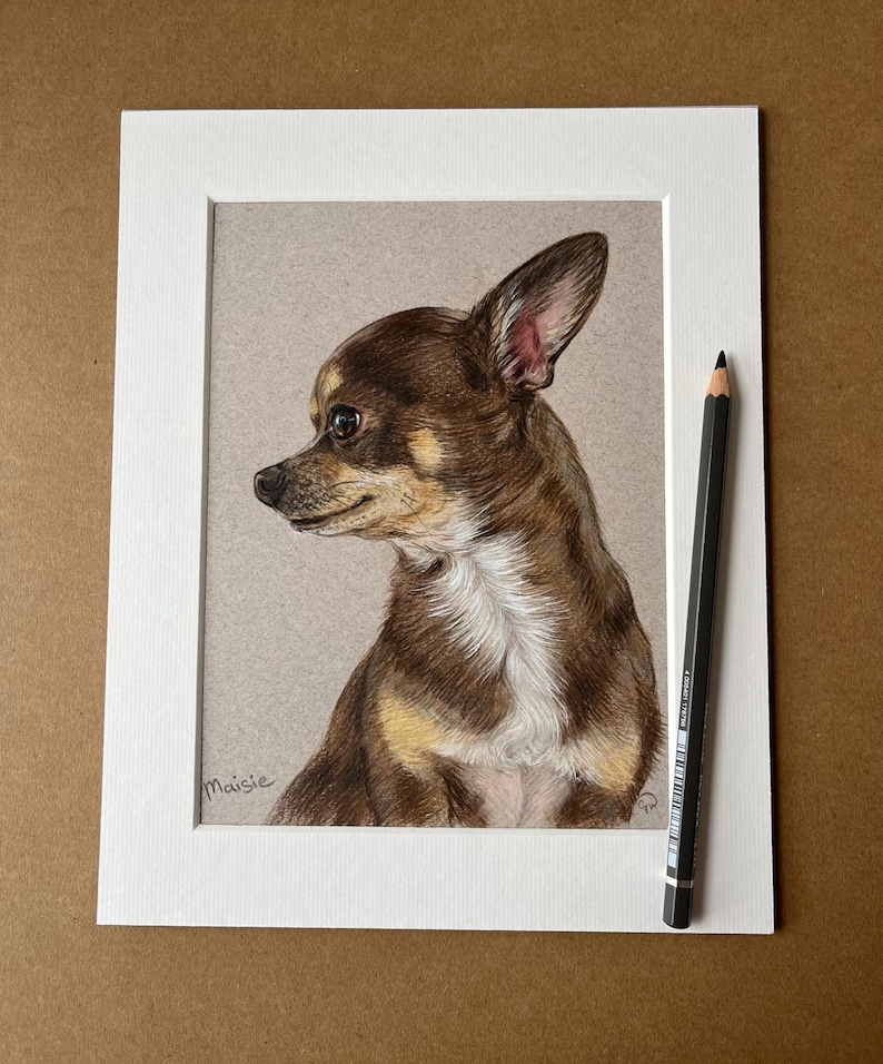 Puede incluir: Retrato a l&aacute;piz de color de un perro chihuahua en un marco blanco. El perro tiene pelaje marr&oacute;n y canela, con el pecho blanco. Un l&aacute;piz negro descansa en el lado derecho del marco. La firma del artista, "Maisie", est&aacute; en la esquina inferior izquierda.