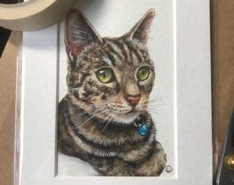 Custom Cat Portrait Pet Portrait Dog Painting in coloured pencil-based media, painted by hand not computer digital art