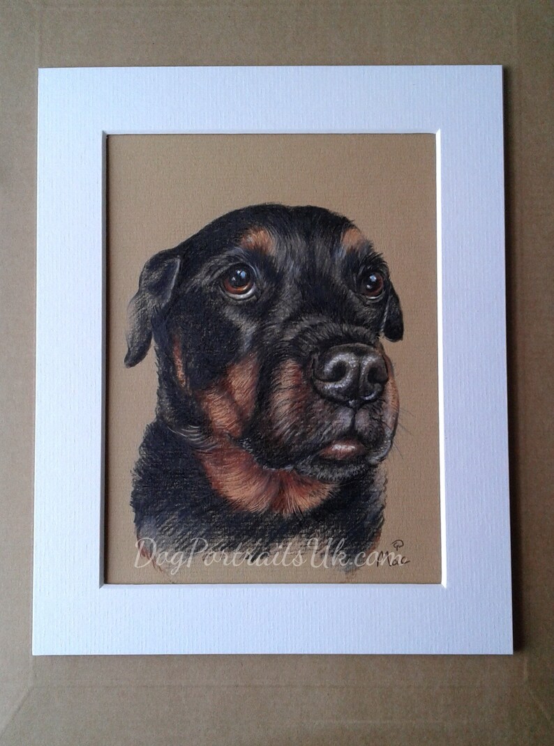 Pet portrait custom dog art