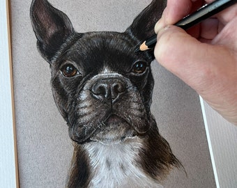 Hand Drawn Pet portrait custom dog art