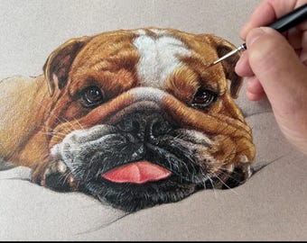 Handgetekend huisdierportret, gepersonaliseerde hondenkunst