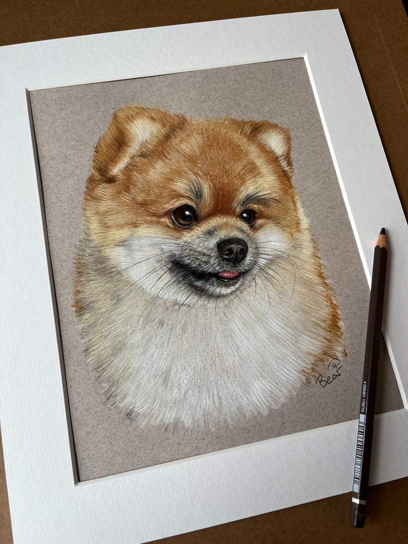 Puede incluir: Dibujo detallado a l&aacute;piz de color de un perro Pomerania. La obra presenta un perro esponjoso, marr&oacute;n claro y crema, con una expresi&oacute;n feliz, sobre un fondo neutro dentro de un passe-partout blanco. Un l&aacute;piz marr&oacute;n descansa sobre el passe-partout.