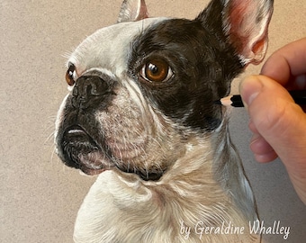 Retrato de perro personalizado dibujado a mano: Dibujo personalizado a partir de tu foto.