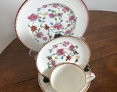 Royal Worcester Astley Pattern, Cup, Saucer, 6 quot 8 quot Side Plates. (Dr. Wall - Reproduced.) Set no. 2.