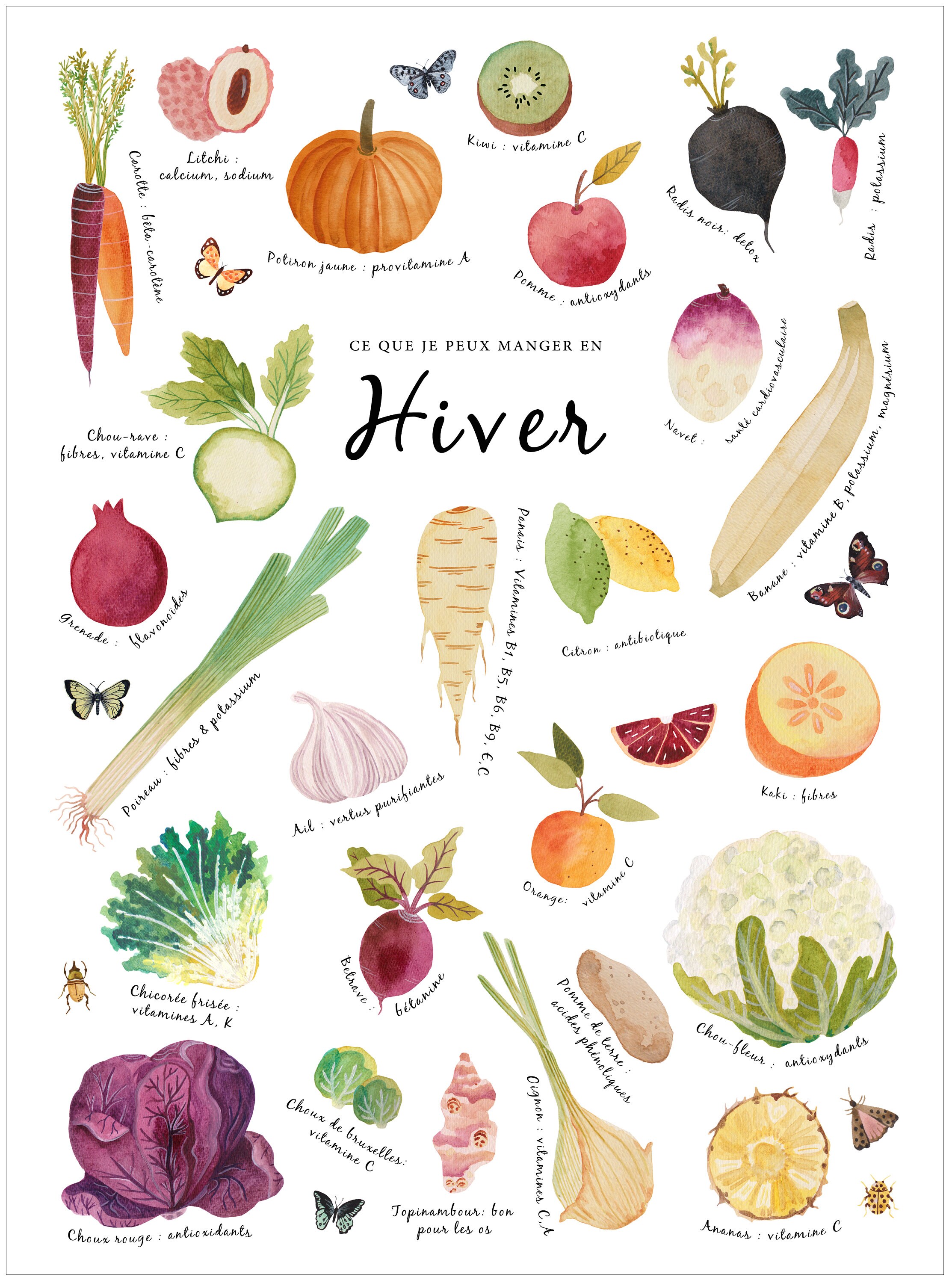Illustration Fruits Et Légumes Dessin Art Print Fruits and Vegetables Fine Art Artwork Home - Etsy Canada