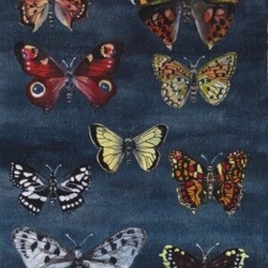 May include: A collection of nine colorful butterfly illustrations on a dark blue background. The butterflies are painted in various shades of red, orange, yellow, black, white, and brown.