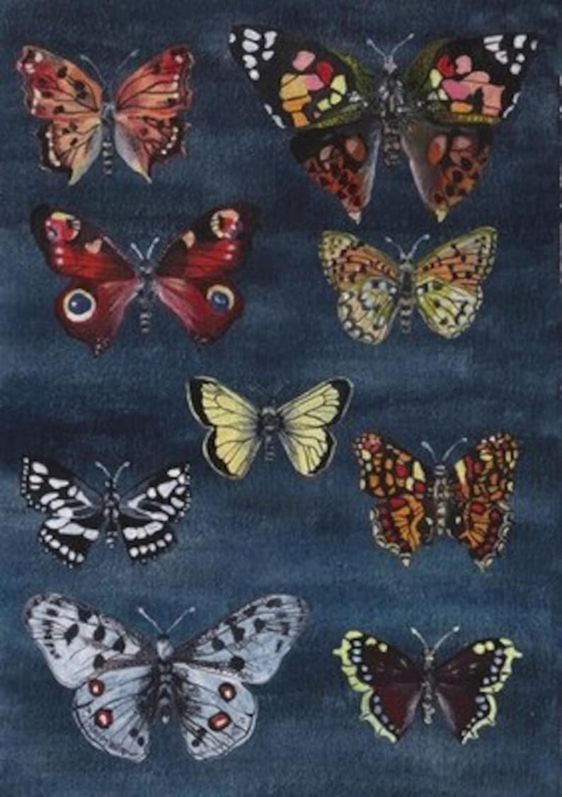 May include: A collection of nine colorful butterfly illustrations on a dark blue background. The butterflies are painted in various shades of red, orange, yellow, black, white, and brown.