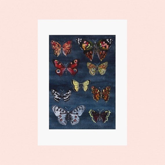 Affiche papillon, Impression, dessin, illustration, A4, planche ancienne, décoration, peinture, aquarelle, livraison gratuite France