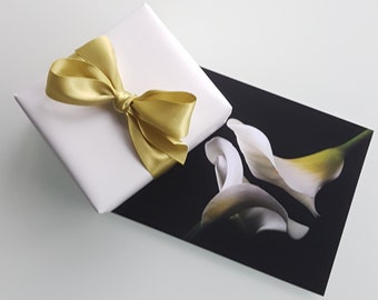 Calla Lily Postcards - Fine Art Photography Prints, Set of 6 Cards