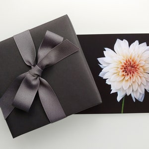Lot de dahlias aux couleurs douces - 5 cartes postales - photographies d'art - 7 x 5 po. - Impressions botaniques - Petit cadeau