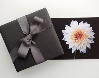 Dahlia Postcards: Fine Art Photography Prints - Set of 5 Cards