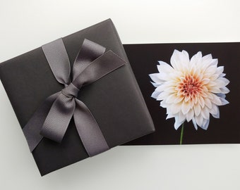 Dahlias - Set of 5 - Postcards - Fine Art Photography – 7 x 5”