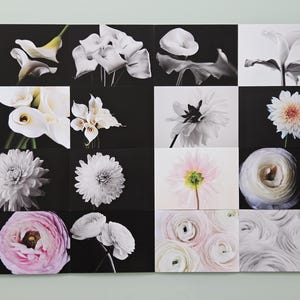Lot de 16 cartes postales de fleurs : lys calla, dahlias, renoncules — photographies d'art — cadeau — art mural — collection botanique