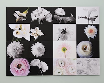 Fine Art Flower Photography Postcard Set of 16 Cards: Botanical Prints, Floral Collection