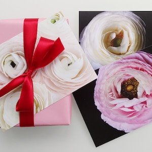 Lot de renoncules aux couleurs douces - 5 cartes postales - photographies d'art - 7 x 5 po. de dimension - impressions botaniques - petit cadeau - mur de galerie