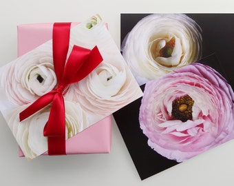 Ranunculus Postcard Set: Fine Art Photography Prints - set of 5 Cards
