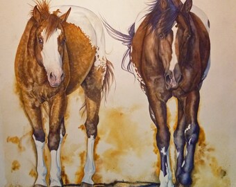 Appaloosa Duo - Straight Run Prints