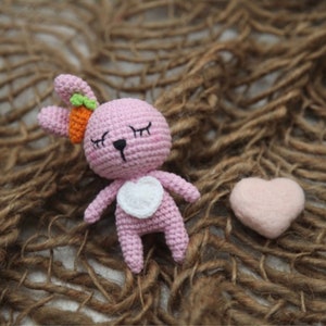 The Cutest Mini Knitted Newborn Bunny Friend with Carrot, Newborn Prop Friend, Newborn Photo Prop