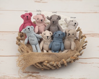 Amico orsetto neonato, amico orso, accessorio neonato, mini amico neonato, amico animale