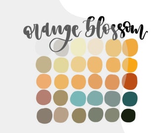 Orange Blossom Color Palette - iPad Lettering Color Swatch - Procreate Color Palette - Digital Lettering - Procreate Color Palette - Swatch