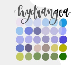 Hydrangea Color Palette - iPad Lettering Color Swatch - Procreate Color Palette - Digital Lettering - Procreate Color Palette - Color Swatch