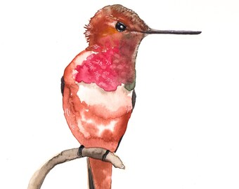 Cheeky hummingbird print. Watercolor painting print. Sitting bird.