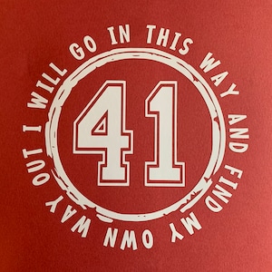 DMB Dave Matthews Band Vinyl #41 Decal