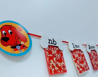 Clifford the Big Red Dog First Year Photo Banner -  First Year Birthday Garland - First Year Photo Clips-Birthday Banner-NB to 1 year Banner