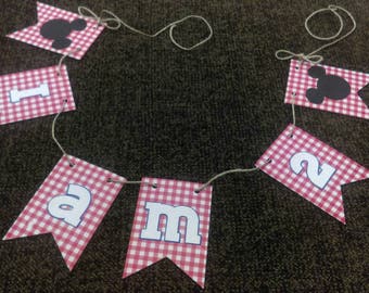 Mickey Mouse Birthday Banner: Gingham Party Decorations