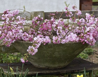 Early 20th Century Large Composite Stone Planter