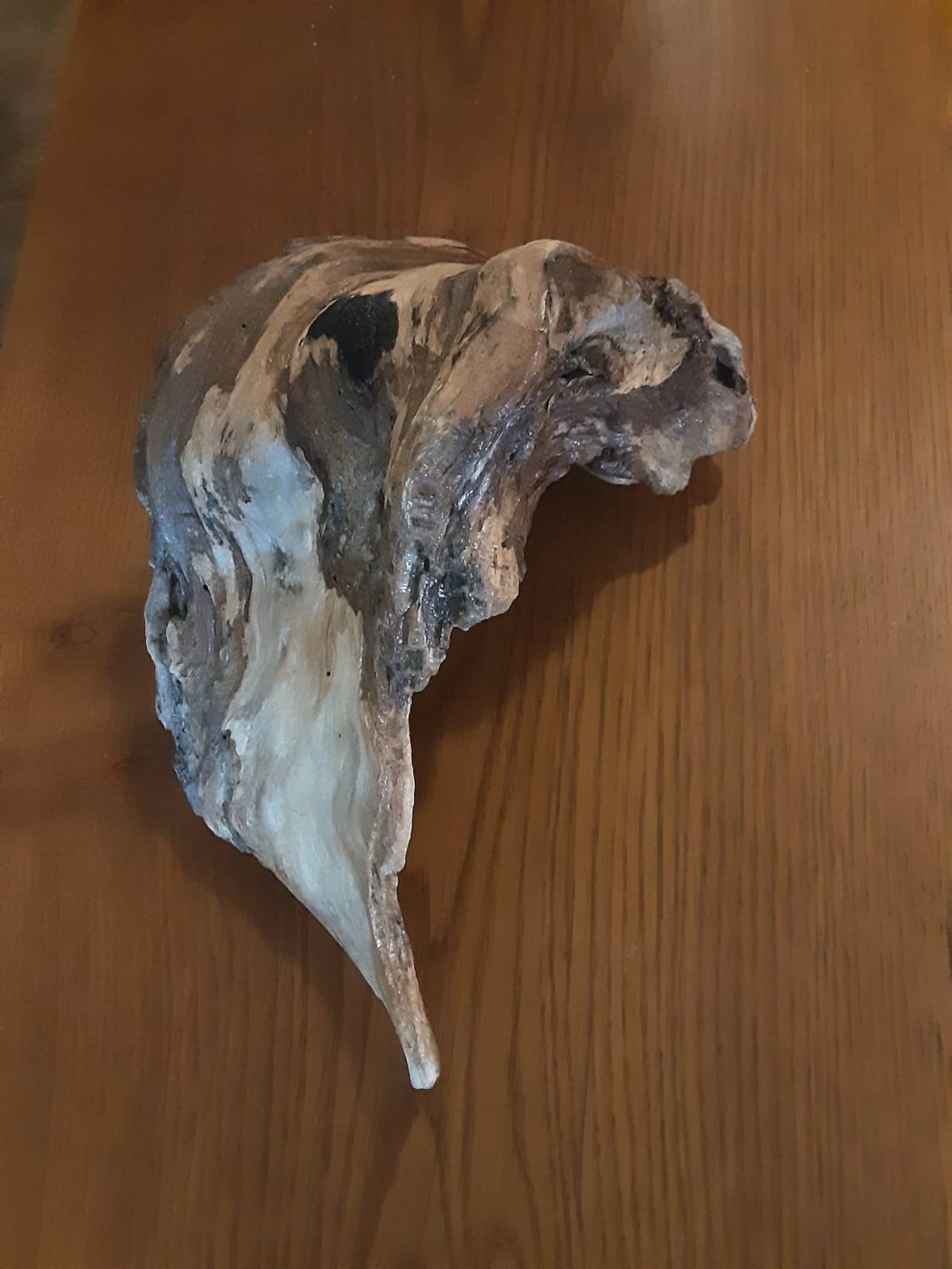 Ohio River Driftwood Art/driftwood Art/driftwood Sculpture Art Etsy