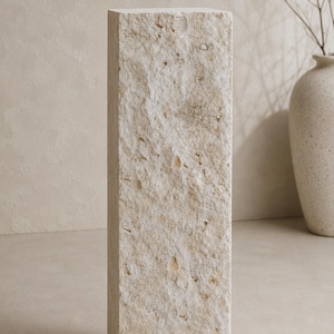 Limestone with seashell shells imprint pedestal column