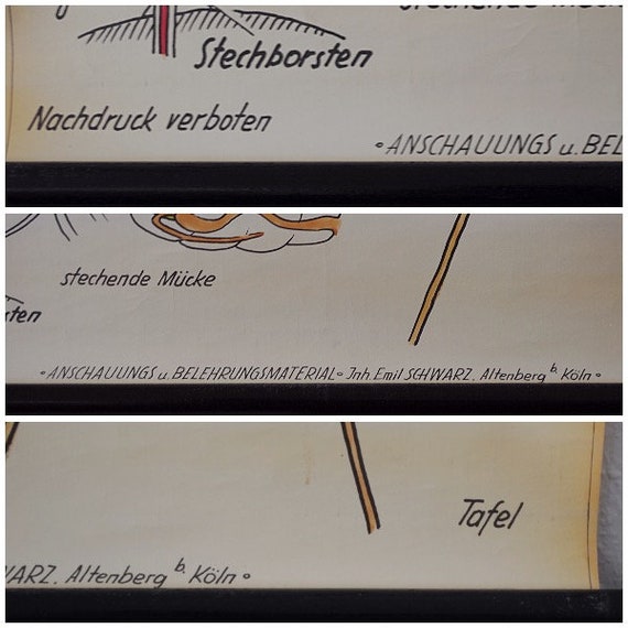 Vintage 1950s Teaser Fly Mosquito Very Rare Hand Etsy