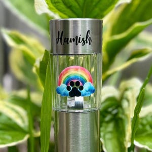 Könnte beinhalten: Solarbetriebene Gartenleuchte mit Edelstahl-Finish. Die Leuchte trägt den Namen "Hamish" in Schreibschrift und ein farbenfrohes Regenbogen-Design mit einem Pfotenabdruck. Umgeben von grünem Laub.