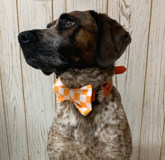 etsy dog collar bow tie