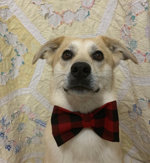 etsy dog collar bow tie