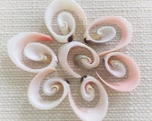 Cut Seashells, Seashells, Shells, Bulk Seashells, Craft Shells, Cut Shells, White Shells, Strombus Luhuanus Swirl Cut, Cut Shells