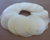 Capiz Shells, Seashells, Shells, Beach Decor Home Decor, Craft Shells, Capiz Shells