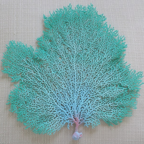 Décoration de plage, Sea Fan Coral, Sea Fan, Sea Fans, Décor côtier, Décor nautique, Décoration de mariage de plage