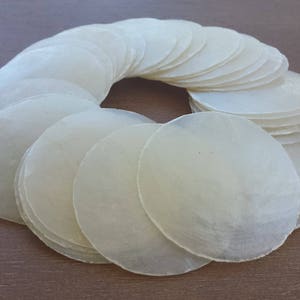 Capiz Shells, Seashells, Shells, Beach Decor Home Decor, Craft Shells, Capiz Shells