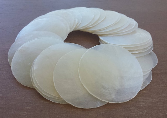 Capiz Shells Seashells Shells Beach Decor Home Decor Craft | Etsy