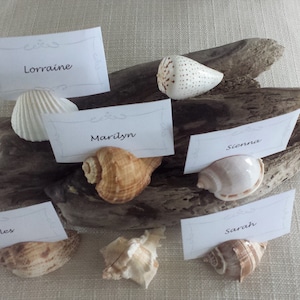 5+, Card Holder, Beach Wedding Card Holder, Beach Wedding Table, Beach Decor, Shell Card Holder, Seashell Place Card Holder