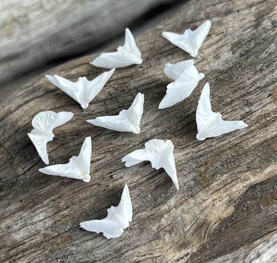 Sand Dollar Doves - Sand Dollar - Craft Supply - Beach Wedding